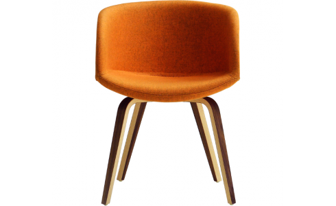 Danny modern szék fa korpusszal és változatos színekben rendelhető.